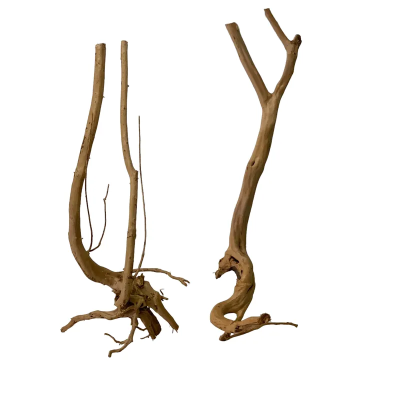 Straight branch/stump wood - Aqua Forest Aquarium