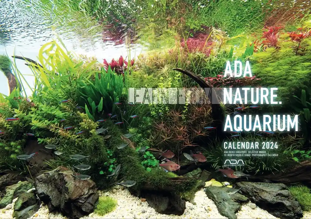 ADA Nature Aquarium Calendar 2024