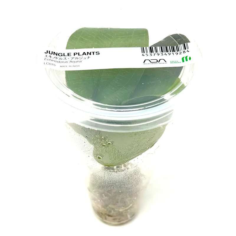 LC075 ADA Jungle plants-Echinodorus 'Arjuna' (Jungle plants cup)
