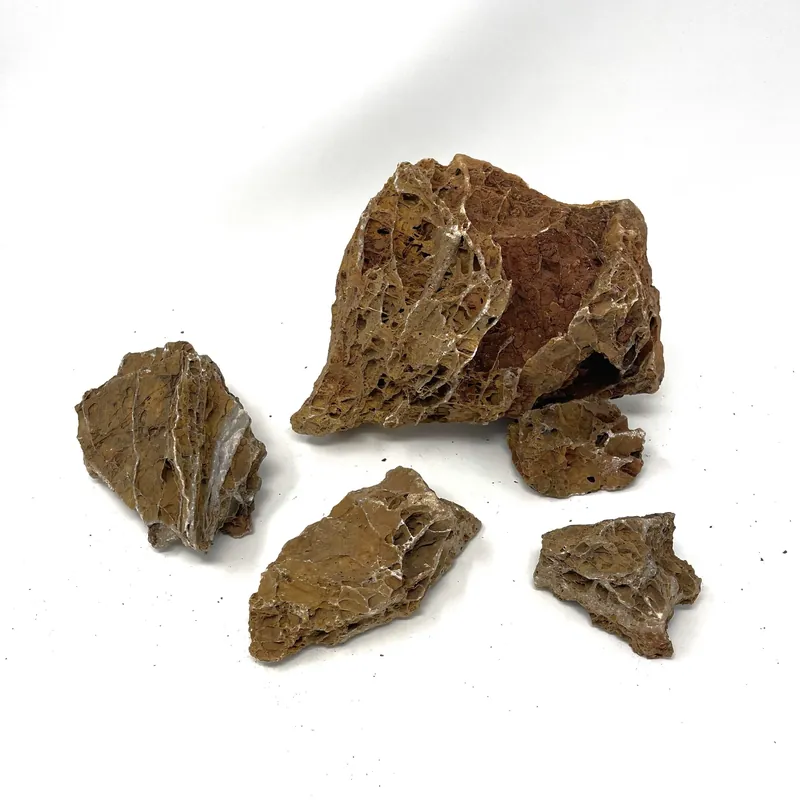 Maple Leaf Stone - Aqua Forest Aquarium