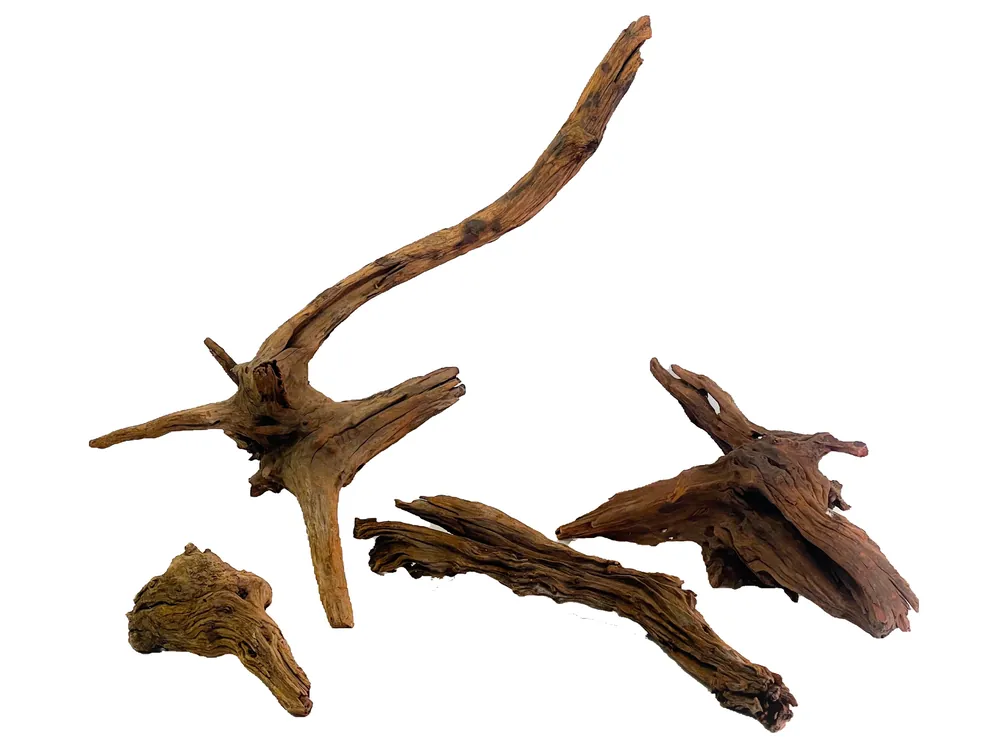 Thick Ancient Horn Wood - Aqua Forest Aquarium