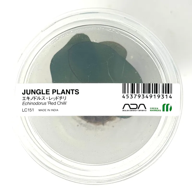 LC151 ADA Jungle plants-Echinodorus red chili (Jungle plants cup)
