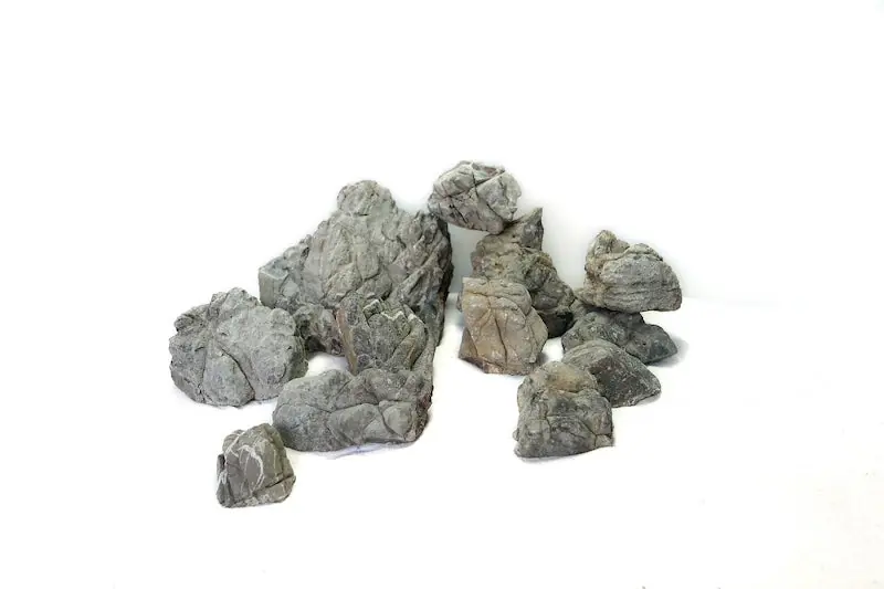 Blackish Lichen Stone - Aqua Forest Aquarium