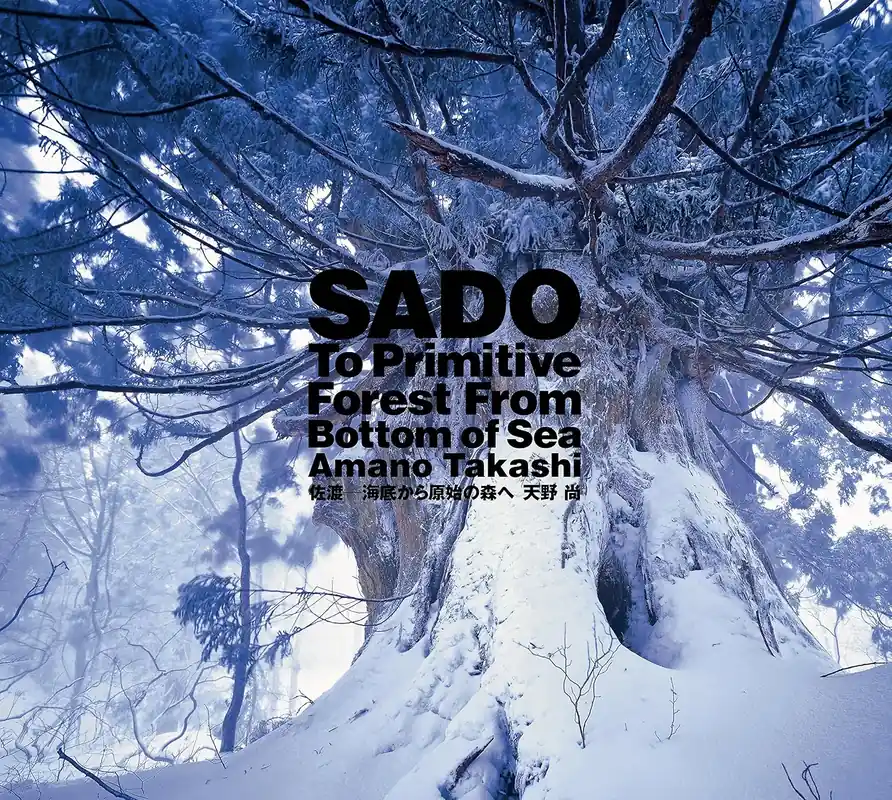 ADA SADO To Primitive Forest from Bottom of Sea (English)