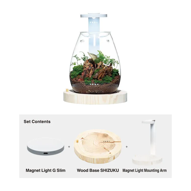 DOOA Magnet Light G Slim Wood Base Set