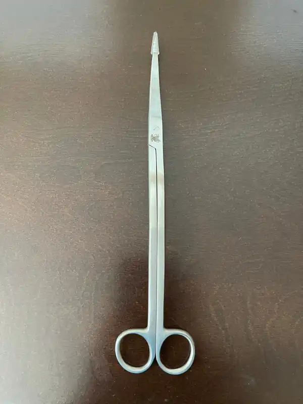 Stainless Steel Curved Scissors - Aqua Rocks Colorado