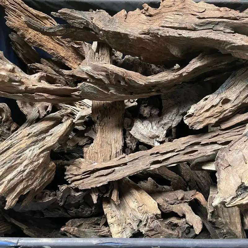 Malaysian Driftwood - XXL