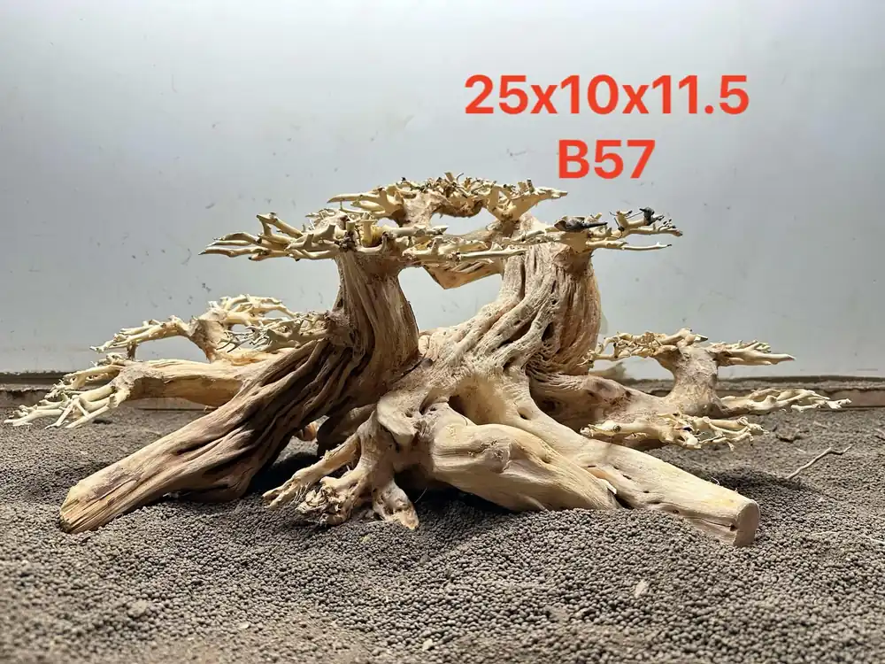 Bonsai Driftwood B57 - Aqua Rocks Colorado