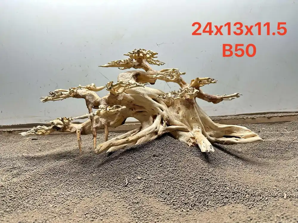 Bonsai Driftwood B50 - Aqua Rocks Colorado