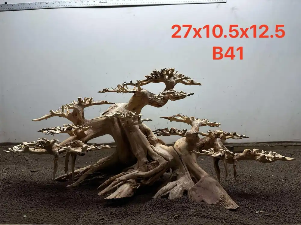 Bonsai Driftwood B41 - Aqua Rocks Colorado