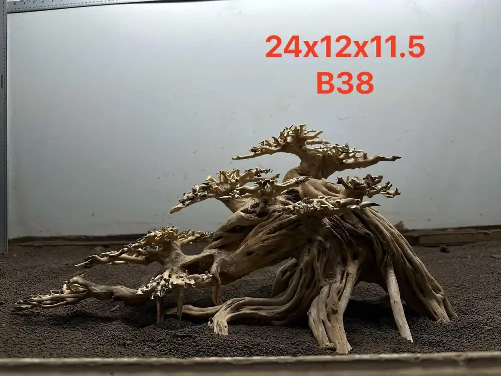 Bonsai Driftwood B38 - Aqua Rocks Colorado
