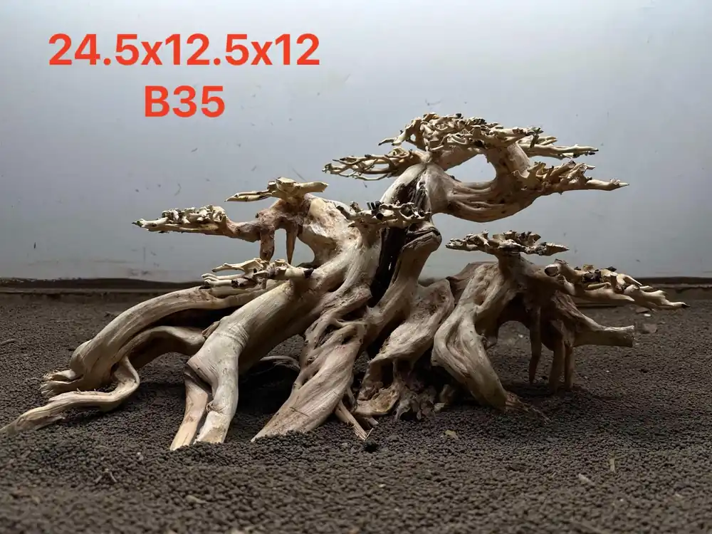 Bonsai Driftwood B35 - Aqua Rocks Colorado