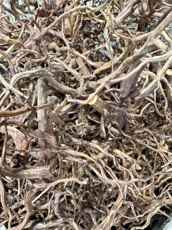 Presoak Brown Spiderwood Pack of 5 - Aqua Rocks Colorado