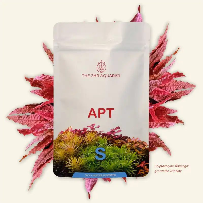 2Hr Aquarist APT SKY - The 2HR Aquarist