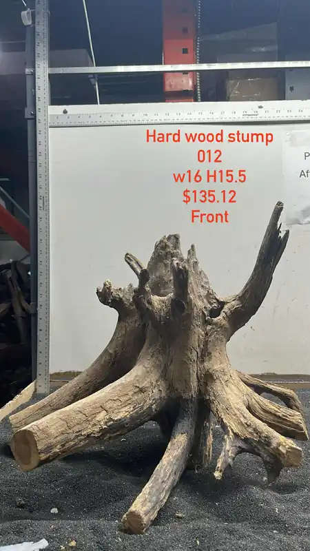 Hardwood Stump 012 - Aqua Rocks Colorado
