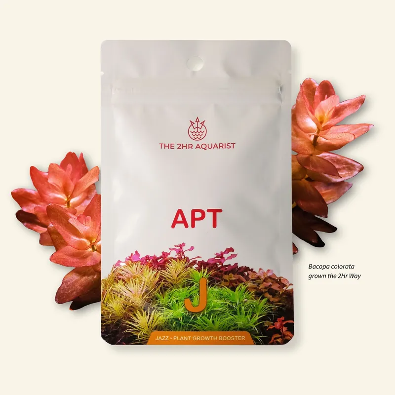 2Hr Aquarist APT Jazz - The 2HR Aquarist