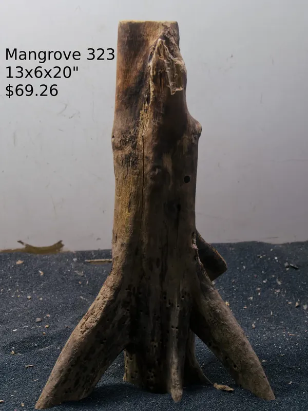 Mangrove Tree Stump 323 - Aqua Rocks Colorado