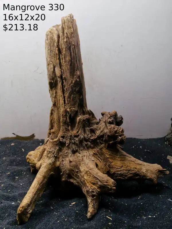 Mangrove Tree Stump 330 - Aqua Rocks Colorado