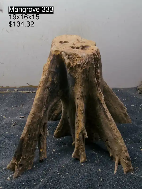 Mangrove Tree Stump 333 - Aqua Rocks Colorado