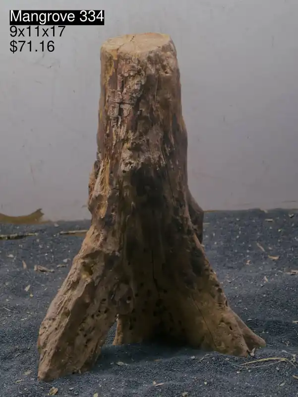 Mangrove Tree Stump 334 - Aqua Rocks Colorado