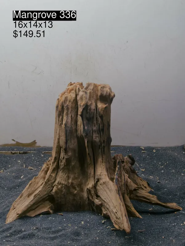 Mangrove Tree Stump 336 - Aqua Rocks Colorado