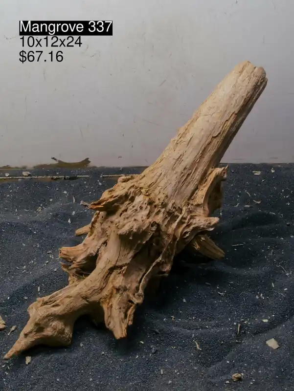 Mangrove Tree Stump 337 - Aqua Rocks Colorado