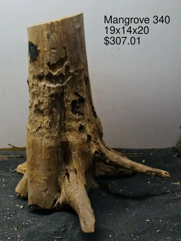 Mangrove Tree Stump 340 - Aqua Rocks Colorado
