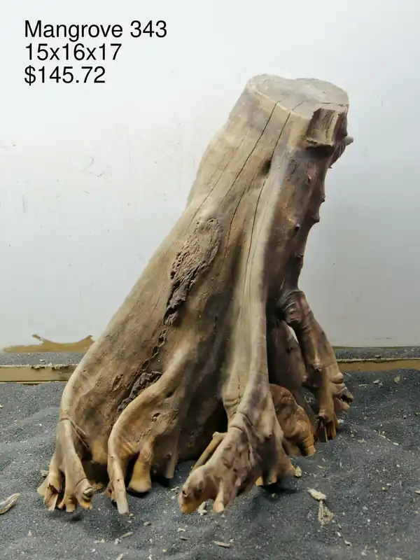 Mangrove Tree Stump 343 - Aqua Rocks Colorado