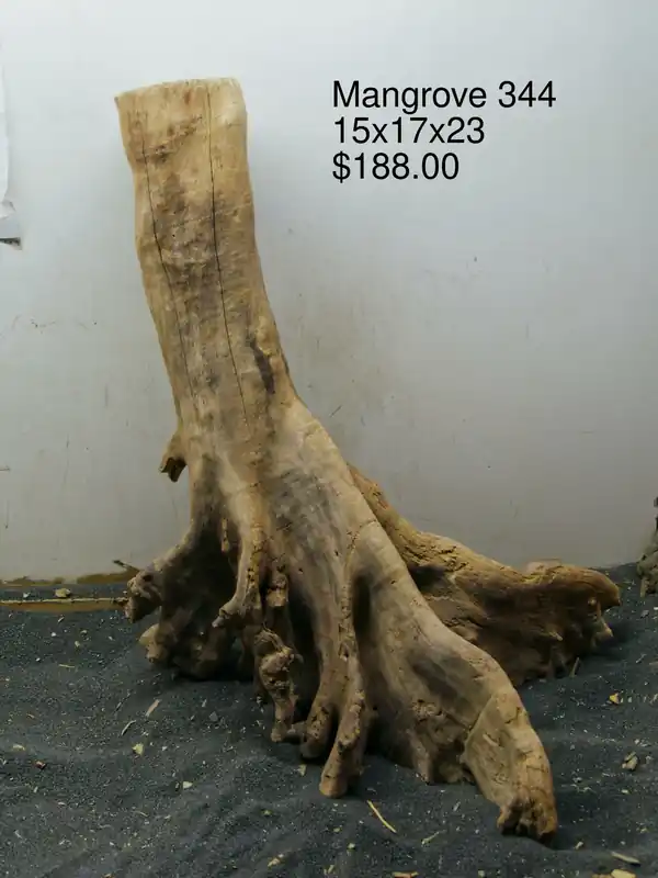 Mangrove Tree Stump 344 - Aqua Rocks Colorado