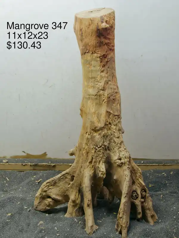 Mangrove Tree Stump 347 - Aqua Rocks Colorado