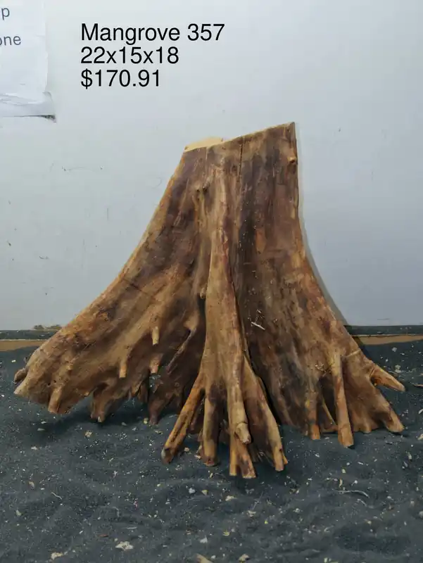 Mangrove Tree Stump 357 - Aqua Rocks Colorado