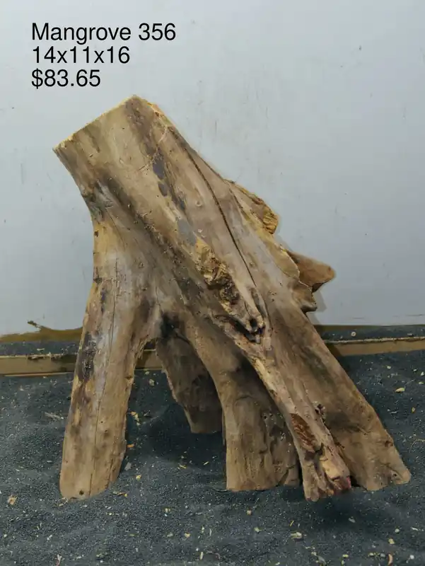 Mangrove Tree Stump 356 - Aqua Rocks Colorado