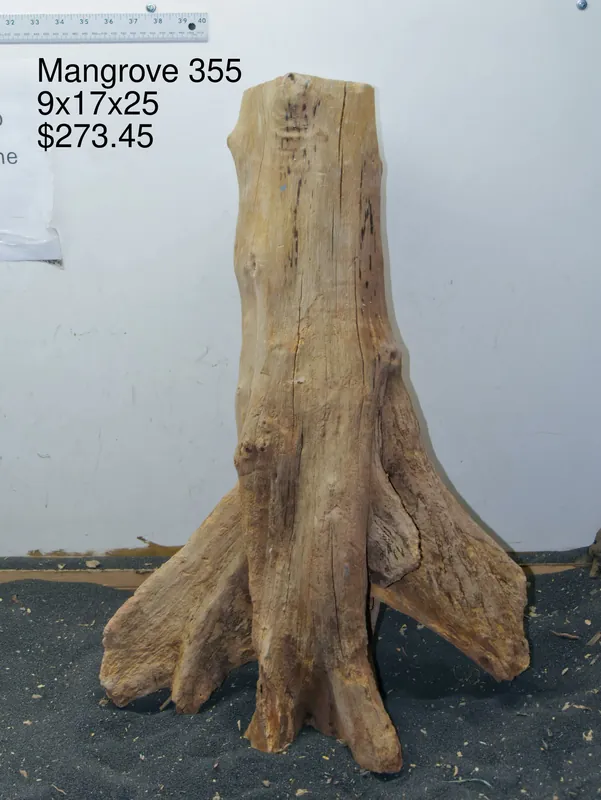 Mangrove Tree Stump 355 - Aqua Rocks Colorado