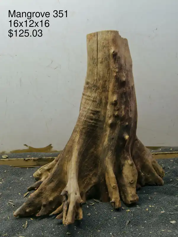 Mangrove Tree Stump 351 - Aqua Rocks Colorado