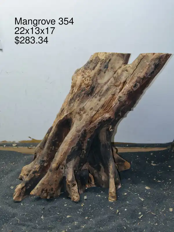 Mangrove Tree Stump 354 - Aqua Rocks Colorado