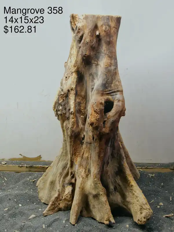 Mangrove Tree Stump 358 - Aqua Rocks Colorado