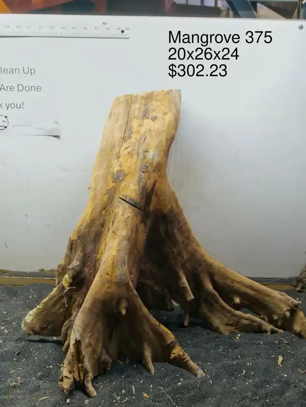 Mangrove Tree Stump 375 - Aqua Rocks Colorado