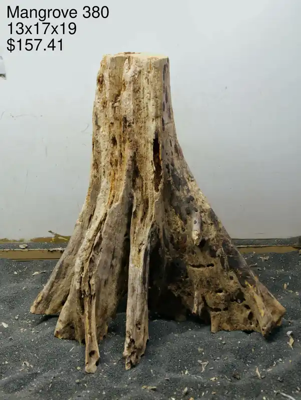 Mangrove Tree Stump 380 - Aqua Rocks Colorado
