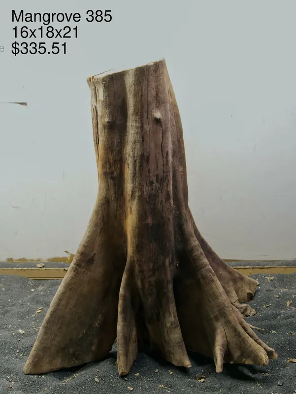 Mangrove Tree Stump 385 - Aqua Rocks Colorado
