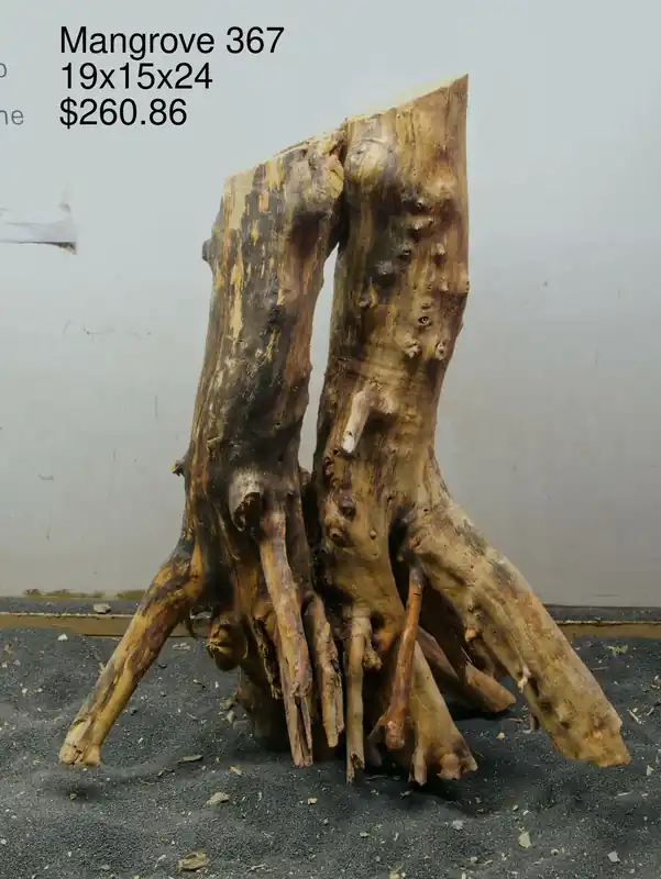 Mangrove Tree Stump 367 - Aqua Rocks Colorado