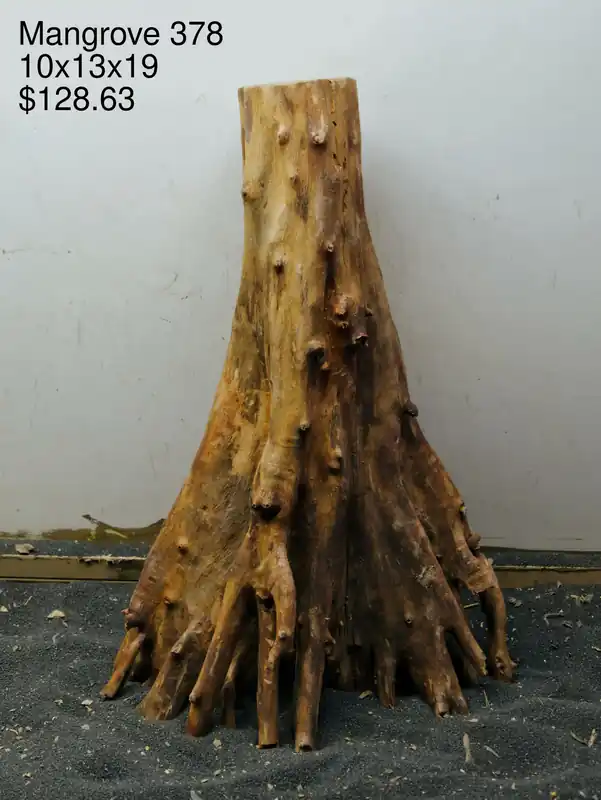 Mangrove Tree Stump 378 - Aqua Rocks Colorado