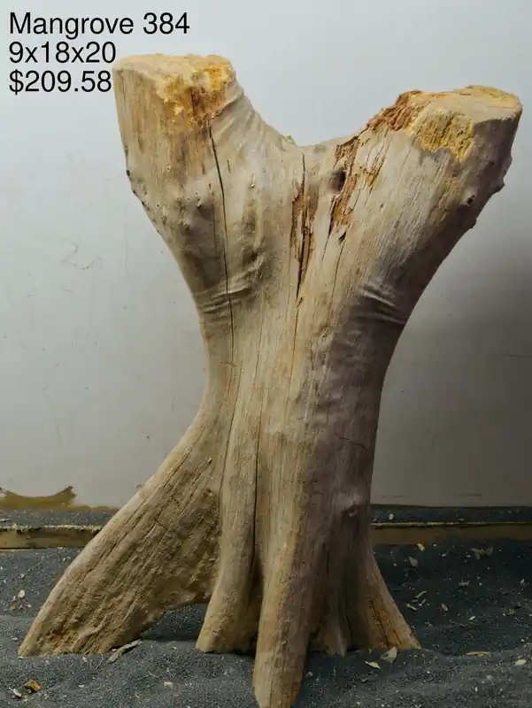 Mangrove Tree Stump 384 - Aqua Rocks Colorado