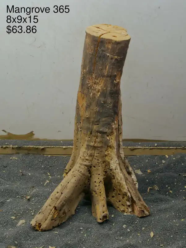 Mangrove Tree Stump 365 - Aqua Rocks Colorado