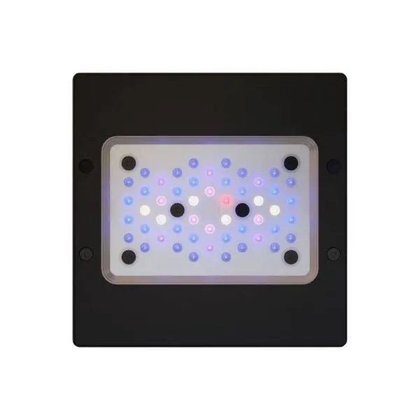 Ecotech Radion G6 XR15 Blue - Clear Choice