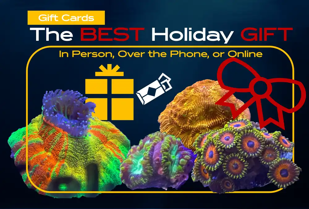 Gift Card - Kona Reef Az