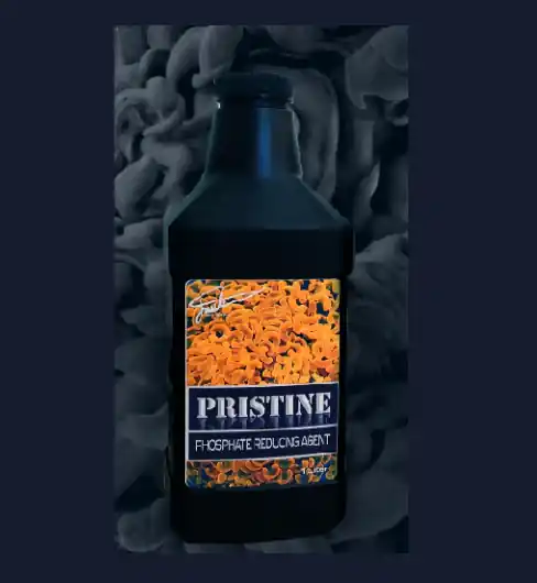 PRISTINE Phosphate Reducing Agent by Fauth Aquatics 64 oz