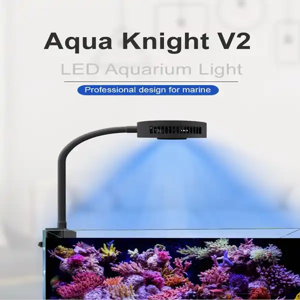 Spectra AquaKnight V2 (w/ included mount up to 1" rim) - Fauth Aquatics