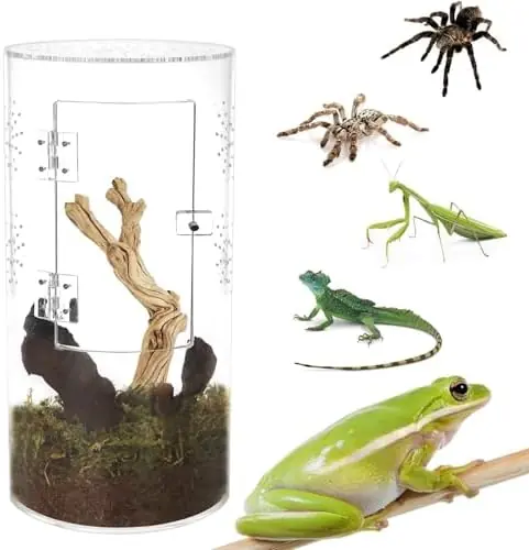 Acrylic Reptile Enclosure for Tarantulas, Jumping Spiders & Small Reptiles (6x6x12 inch) – Secure, Durable, and 360° Transparent View - bubble magus