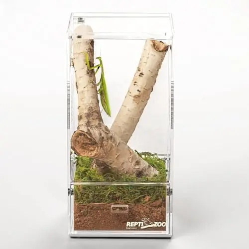 Acrylic Reptile Enclosure for Tarantulas & Jumping Spiders (4x4x8 inch) – Compact, Durable, and Escape-Proof Design
