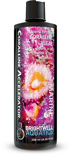 Brightwell Aquatics Coralline Accelerator – Coral Growth Booster – 250 ml